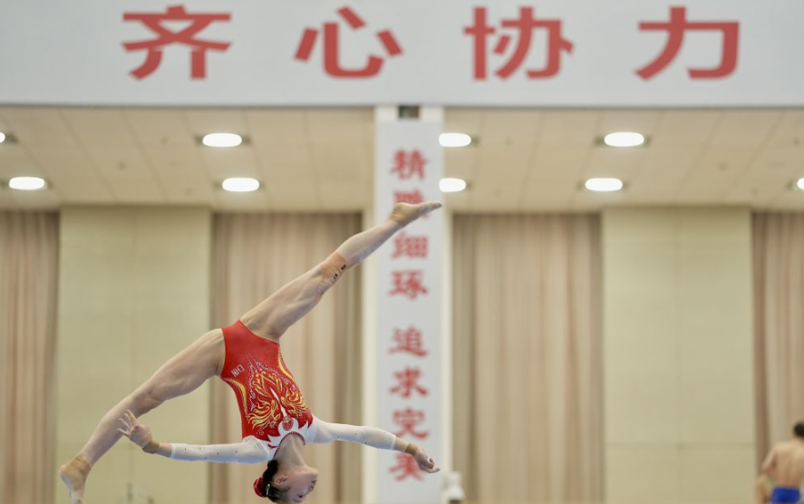 乐鱼体育手游app下载的全面分析