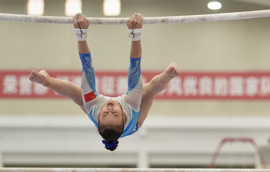 全方位解读乐鱼体育app的下载安装流程